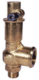Kalrez sealed safety valve